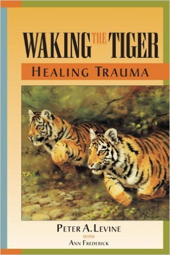 PTSD Self Help Books, books on ptsd self help, help with ptsd, getting help for PTSD, PTSD book